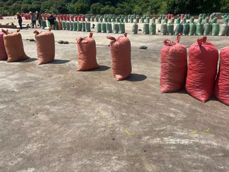 广西特产八角香料正宗新货，足干批发大红八角