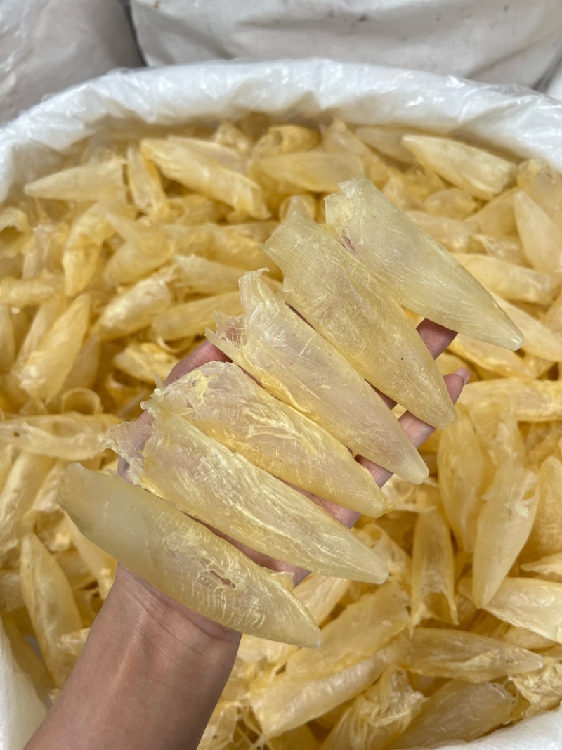 咸水黄花胶筒100-120头