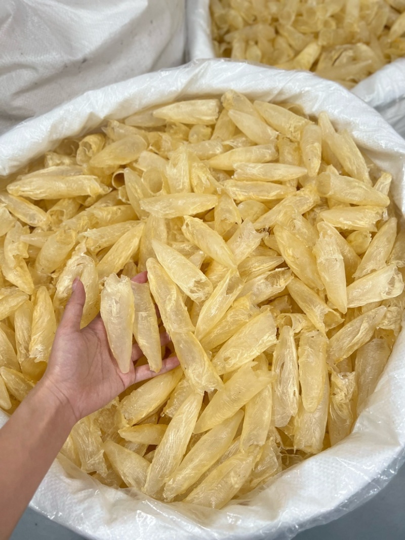 咸水黄花胶筒100-120头
