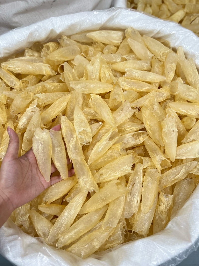 咸水黄花胶筒100-120头