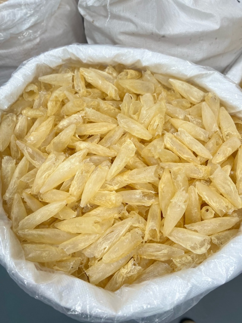 咸水黄花胶筒100-120头