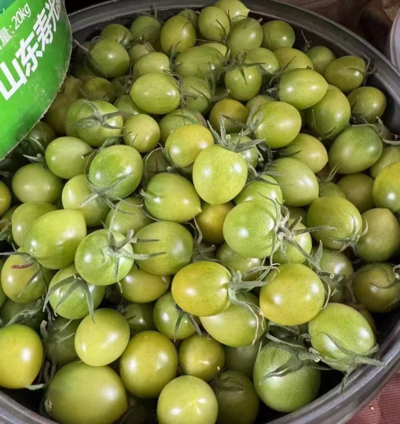 小番茄，圣女果，寿光蔬菜，产地直发，常年供应