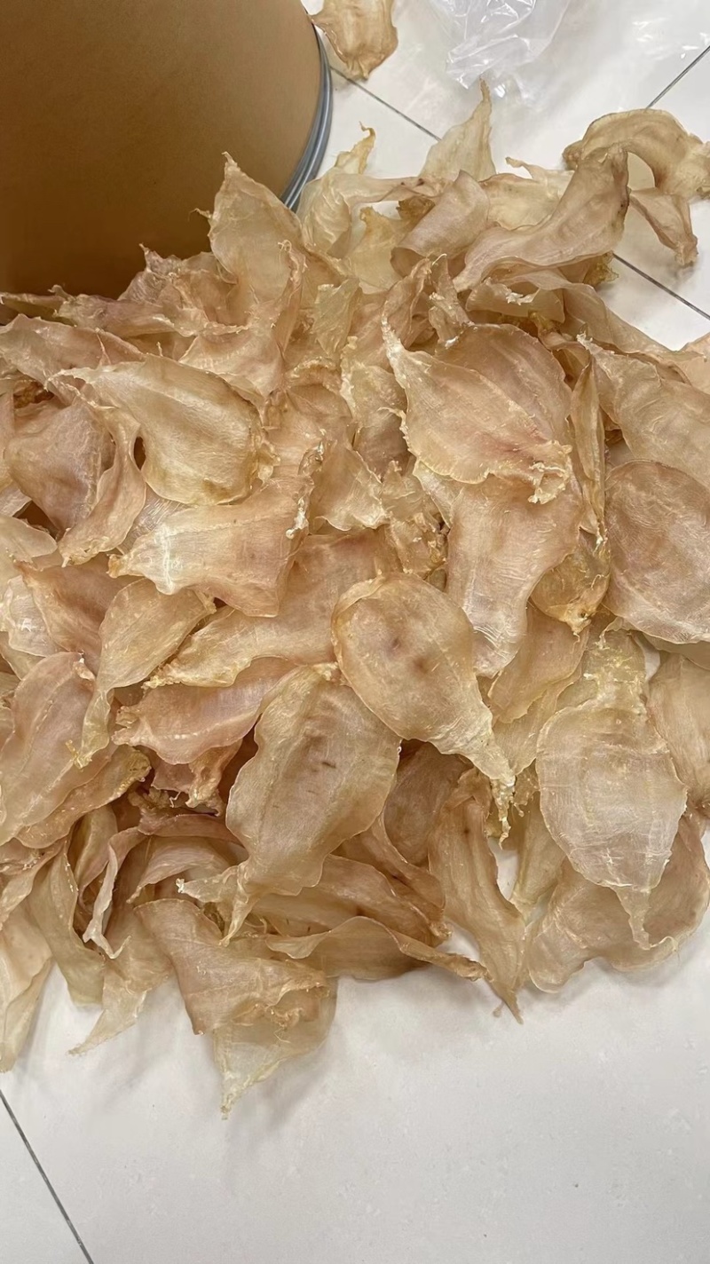土鳘母胶22头