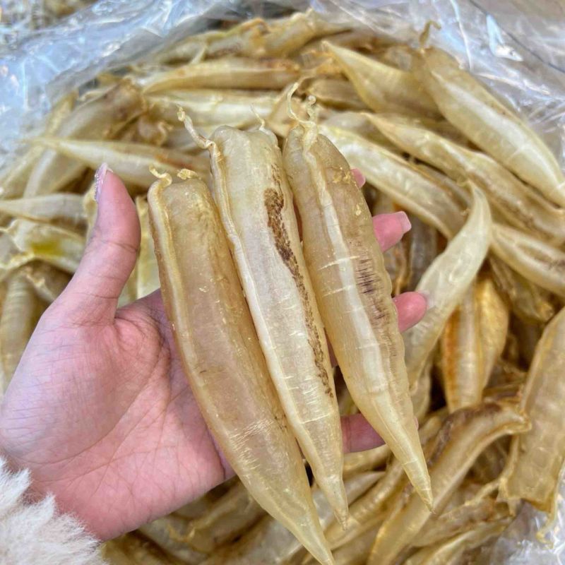 北海金龙筒鱼胶花胶65头