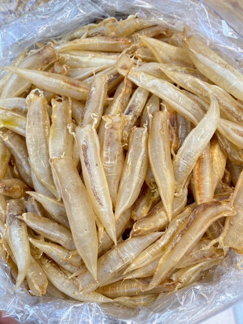 北海金龙筒鱼胶花胶65头