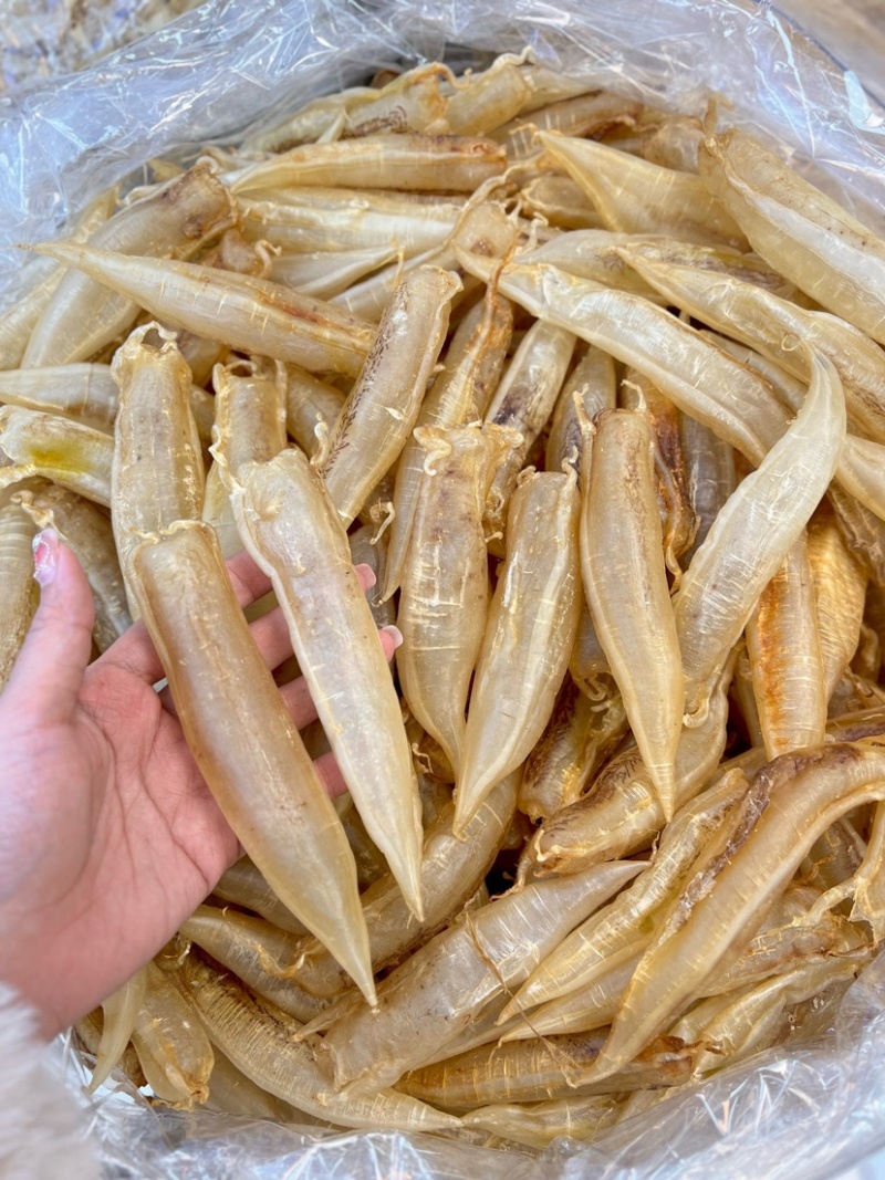 北海金龙筒鱼胶花胶65头