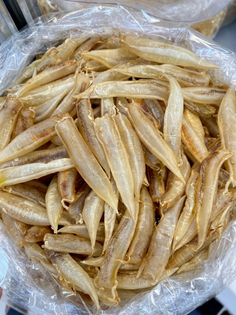 北海金龙筒鱼胶花胶65头