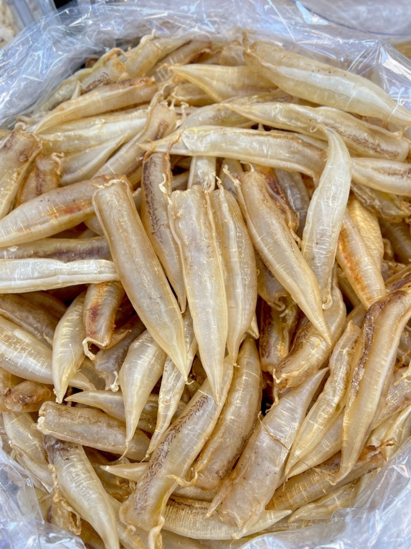 北海金龙筒鱼胶花胶65头