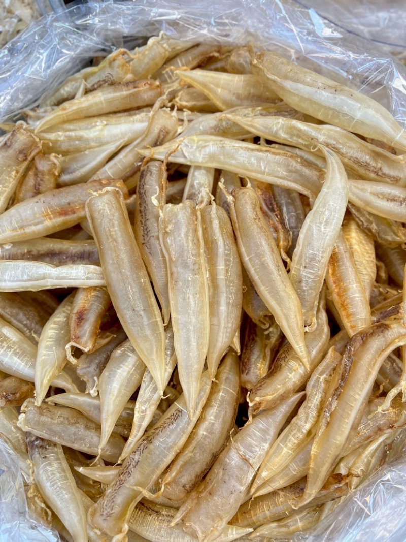 北海金龙筒鱼胶花胶65头