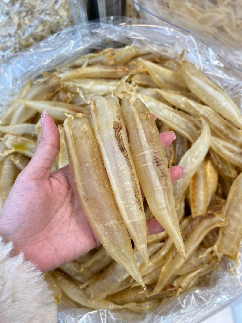 北海金龙筒鱼胶花胶65头