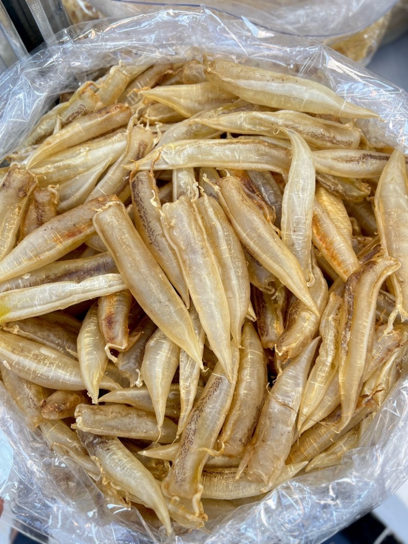 北海金龙筒鱼胶花胶65头
