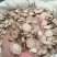 白芷香料白芷香料调料白芷中药材白芷