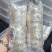 印尼溯源干挑大盏100克