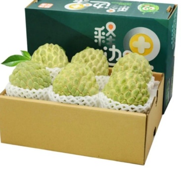 【推荐】云南凤梨释迦果产地直发可视频看货欢迎致电合作