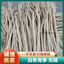 白条党参无硫规格齐全价格优现货直发欢迎咨询