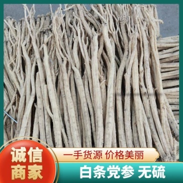 白条党参无硫规格齐全价格优现货直发欢迎咨询