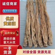 优质黄当归条，量大从优，欢迎选购岷县基地直供全国欢迎咨询