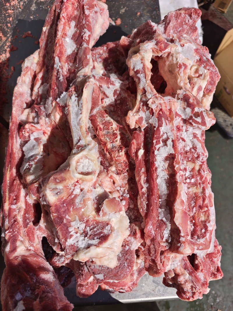 【羔羊肉龙骨】当地草饲绵羊脊骨，鲜冻品免费加工！常年有货