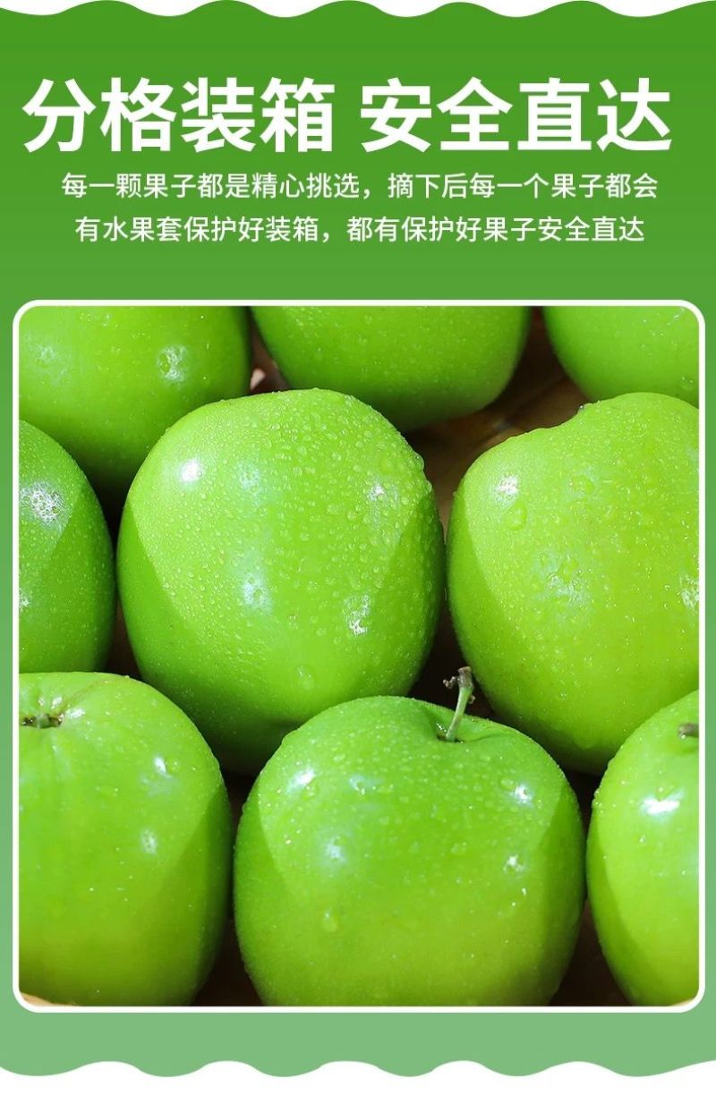青枣牛奶大青枣云南牛奶枣脆甜鲜枣新鲜应季水果批发