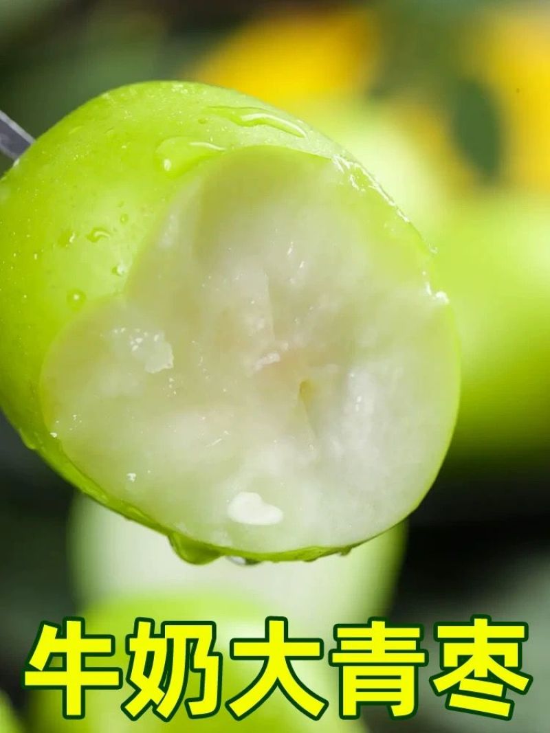 青枣牛奶大青枣云南牛奶枣脆甜鲜枣新鲜应季水果批发