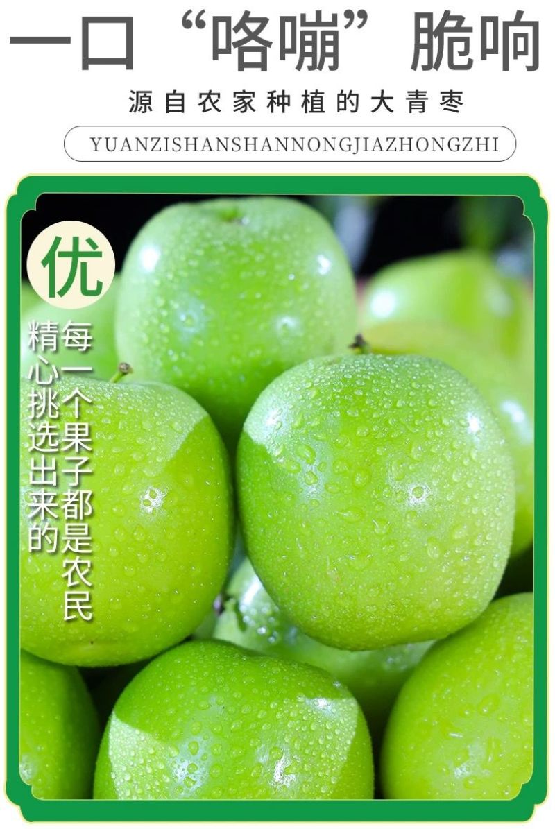 青枣牛奶大青枣云南牛奶枣脆甜鲜枣新鲜应季水果批发