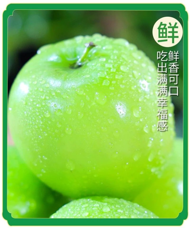 青枣牛奶大青枣云南牛奶枣脆甜鲜枣新鲜应季水果批发
