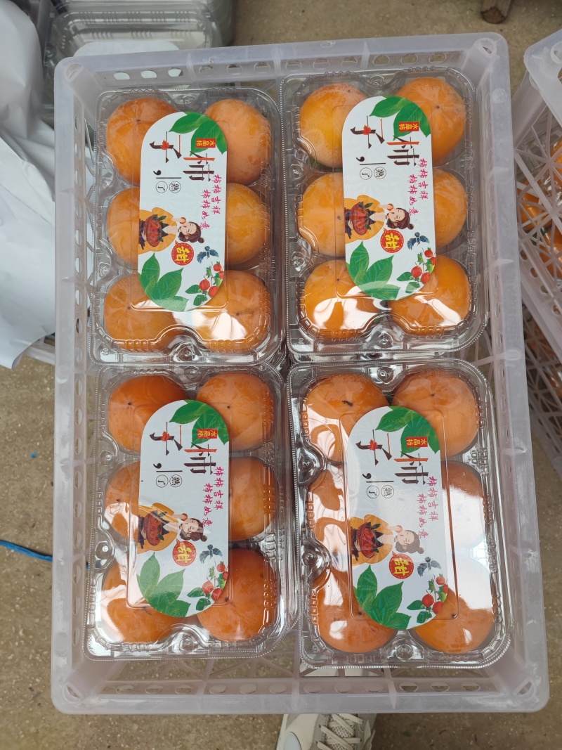 陕西火葫芦柿子大量有货！