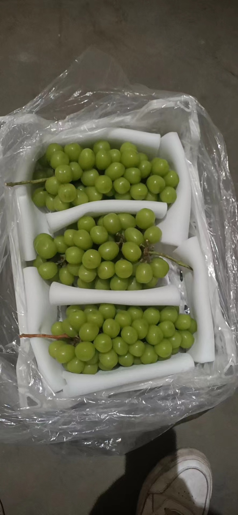 阳光玫瑰葡萄量大货源充足