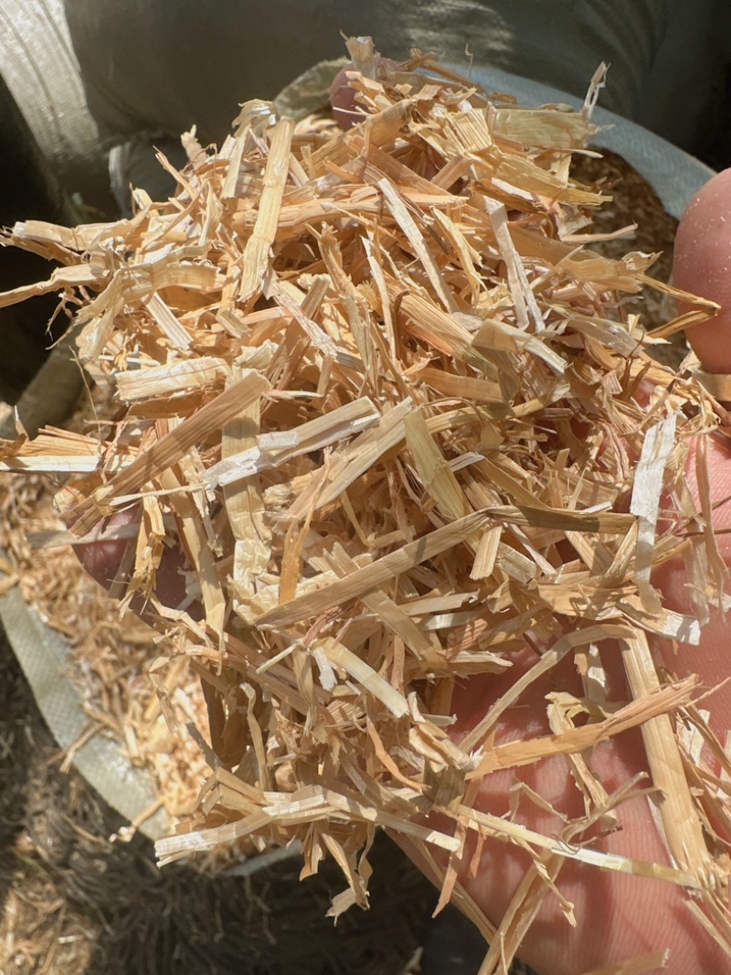 精品麦草牛羊草料白亮二次柔丝除尘厂家批价质量保证
