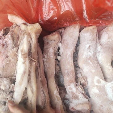 猪头肉