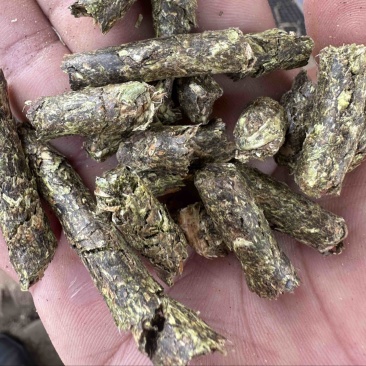 纯花生秧熟化颗粒，适口性好，牛羊马驴鹿等动物饲料