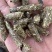 纯花生秧熟化颗粒，适口性好，牛羊马驴鹿等动物饲料