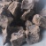 儿茶中药材批发儿茶质量保证量大从优