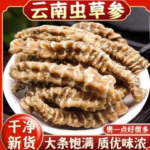 云南虫草参地参地参干中药材干货精选大条闪电发货