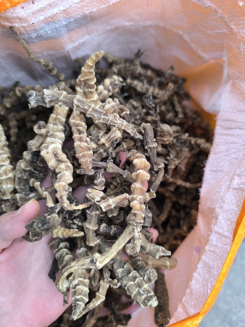 云南虫草参地参地参干中药材干货精选大条闪电发货