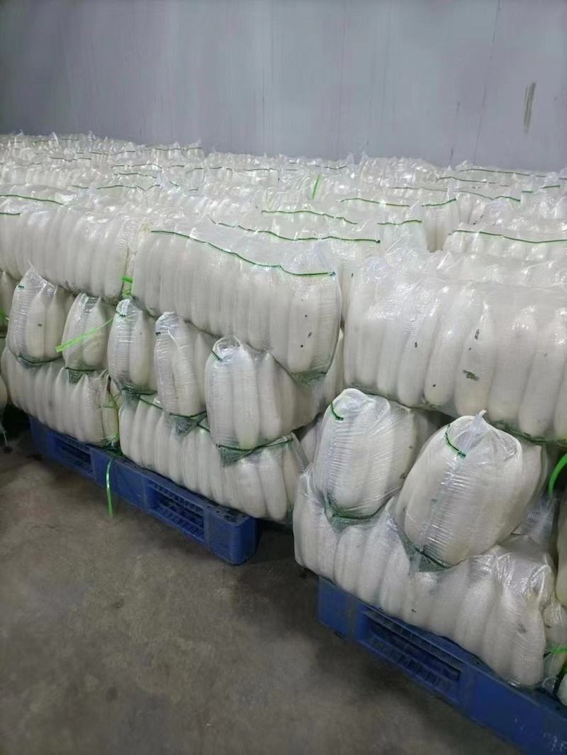 河南白萝卜精品白萝卜基地直发规格齐全价格实惠