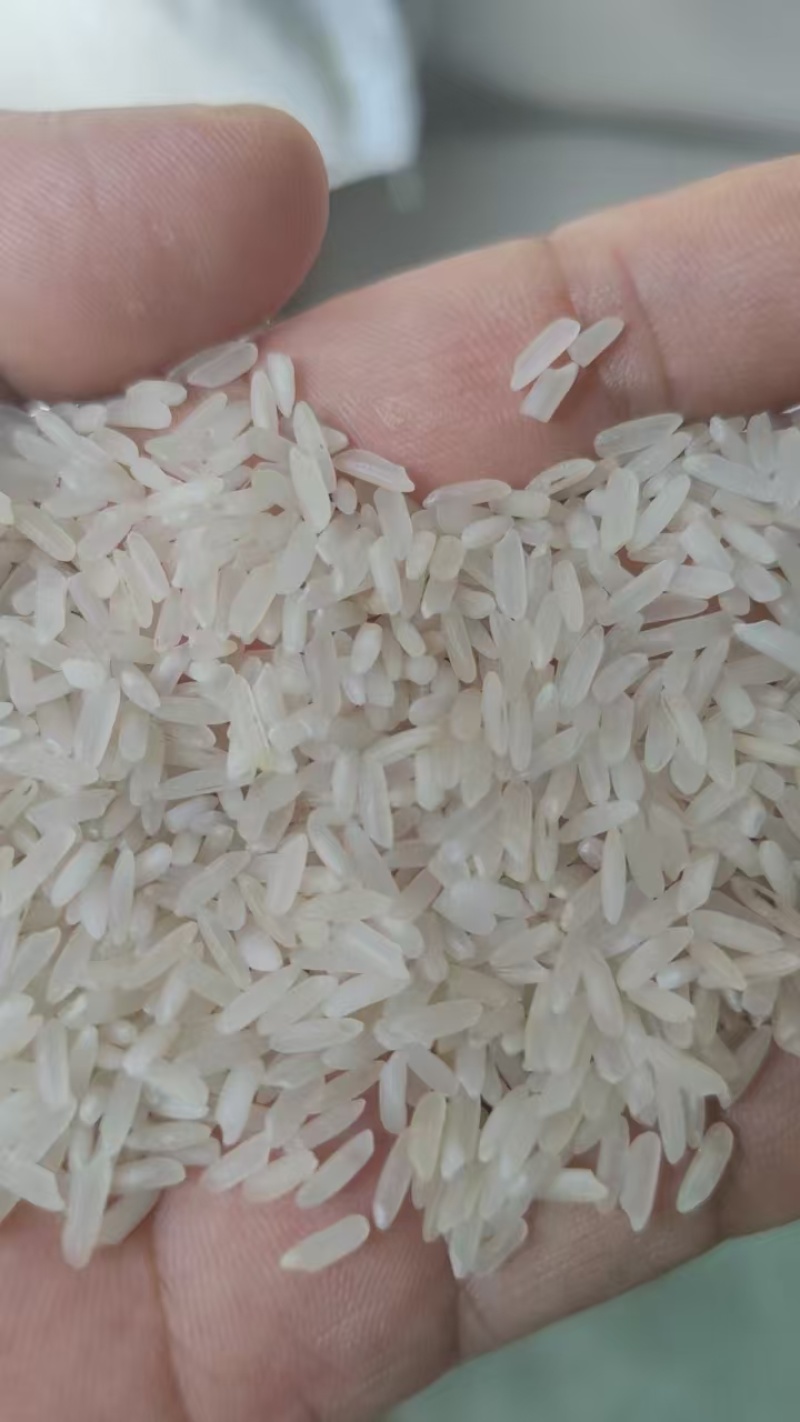 企业食堂，学校食堂用米