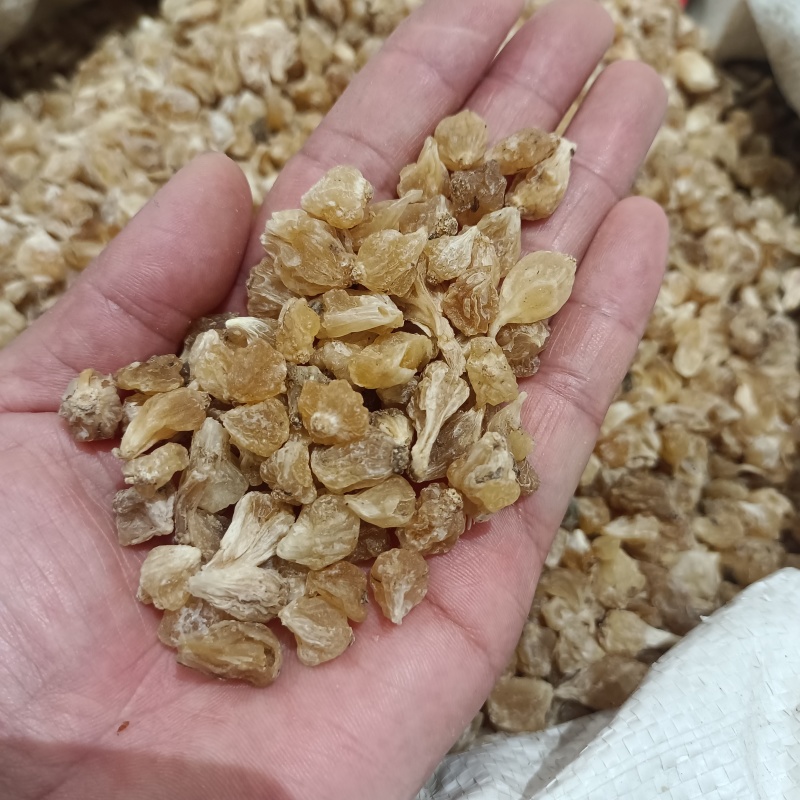薤白野小蒜无硫薤白中药薤白