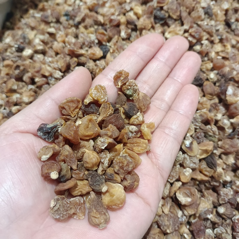 薤白野小蒜无硫薤白中药薤白