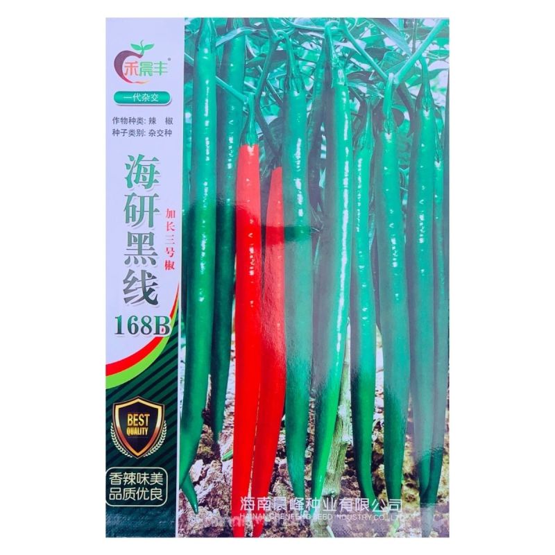 海研黑线加长三号辣椒种子中早熟长线椒味辣高产抗病深绿顺直