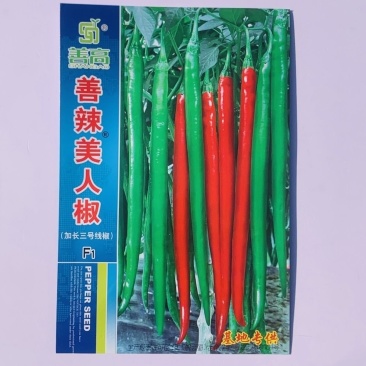 善辣美人椒加长三号线椒种子高产顺直深绿香辣薄皮条椒大田用
