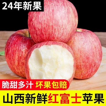 【红富士】山西运城临冰糖心袋苹果/可以供应电商/产地直供