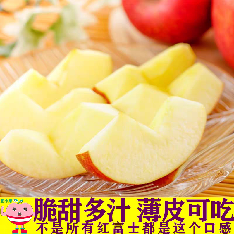 【红富士】山西运城临冰糖心袋苹果/可以供应电商/产地直供