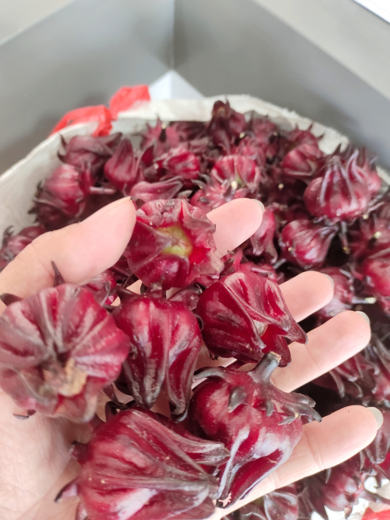 洛神花/大量批发/产地直发