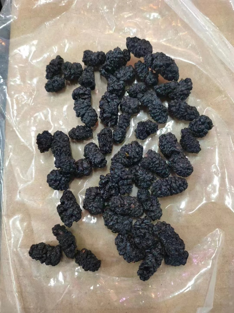 桑葚干