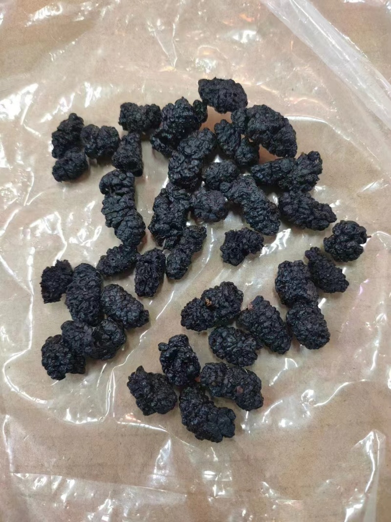 桑葚干