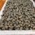 湖北清水螺薄壳无青苔大螺蛳淡水螺食用螺规格齐全欢迎咨询