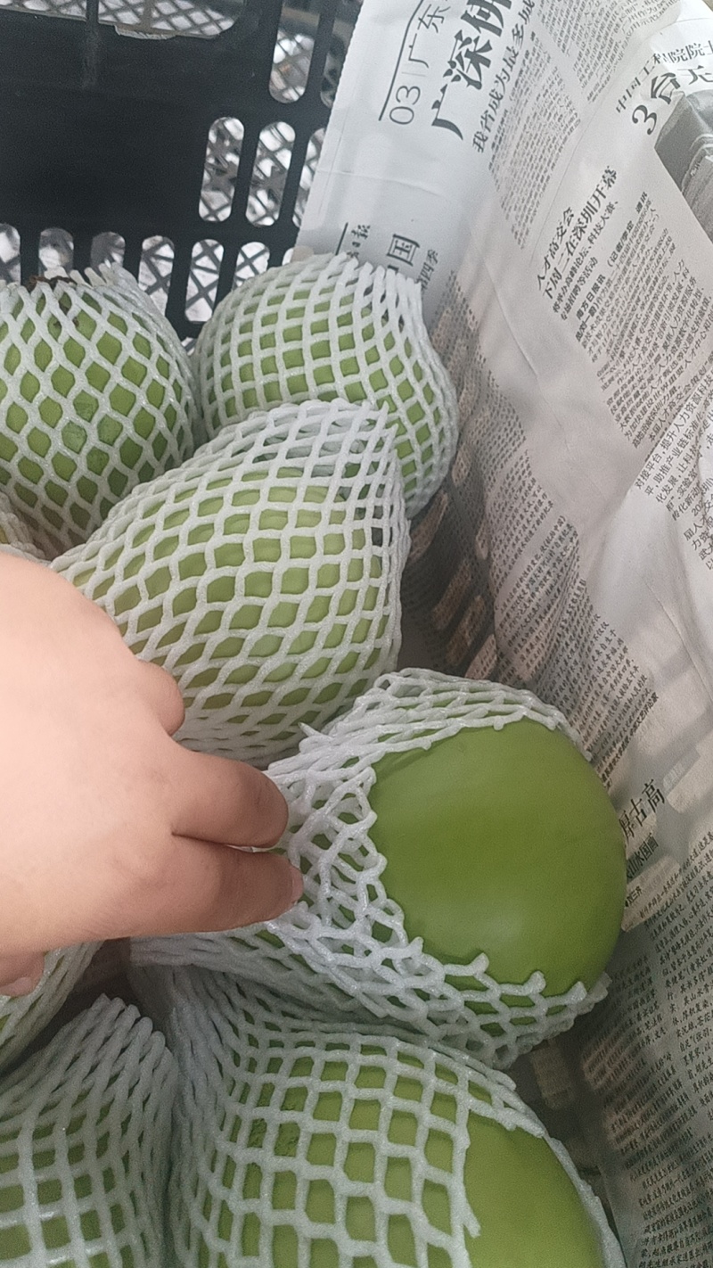 丝瓜，八角丝瓜