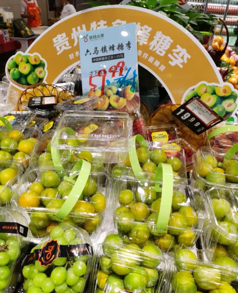 正宗贵州蜂糖李子苗/一代嫁接苗品种纯度高大果型甜度高现挖