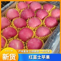 【热销款】红富士苹果一手货源口感脆甜支持一件代发